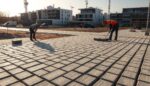 Kostka bauma